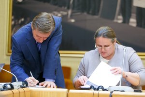 Po medaus mėnesių pakvipo degutu: kliba R. Karbauskio ir A. Širinskienės duetas