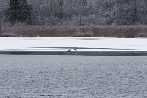 Sinoptikai dėl savaitgalio orų gerų žinių neturi: temperatūra kris iki -12