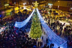 Šiaulių rajone nušvito ypač puošni Kalėdų eglė – spindinti skraistė žvilgsnius traukia iš toli 
