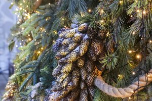 Labirintų parkas Anykščiuose įžiebs vienintelį Lietuvoje kalėdinių eglučių labirintą