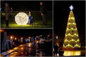 Pajūryje įžiebta pirmoji Kalėdų eglė: visu grožiu nušvito Neringa