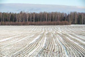 Anksčiau išregistravus valdą gali prireikti grąžinti išmokėtą paramą