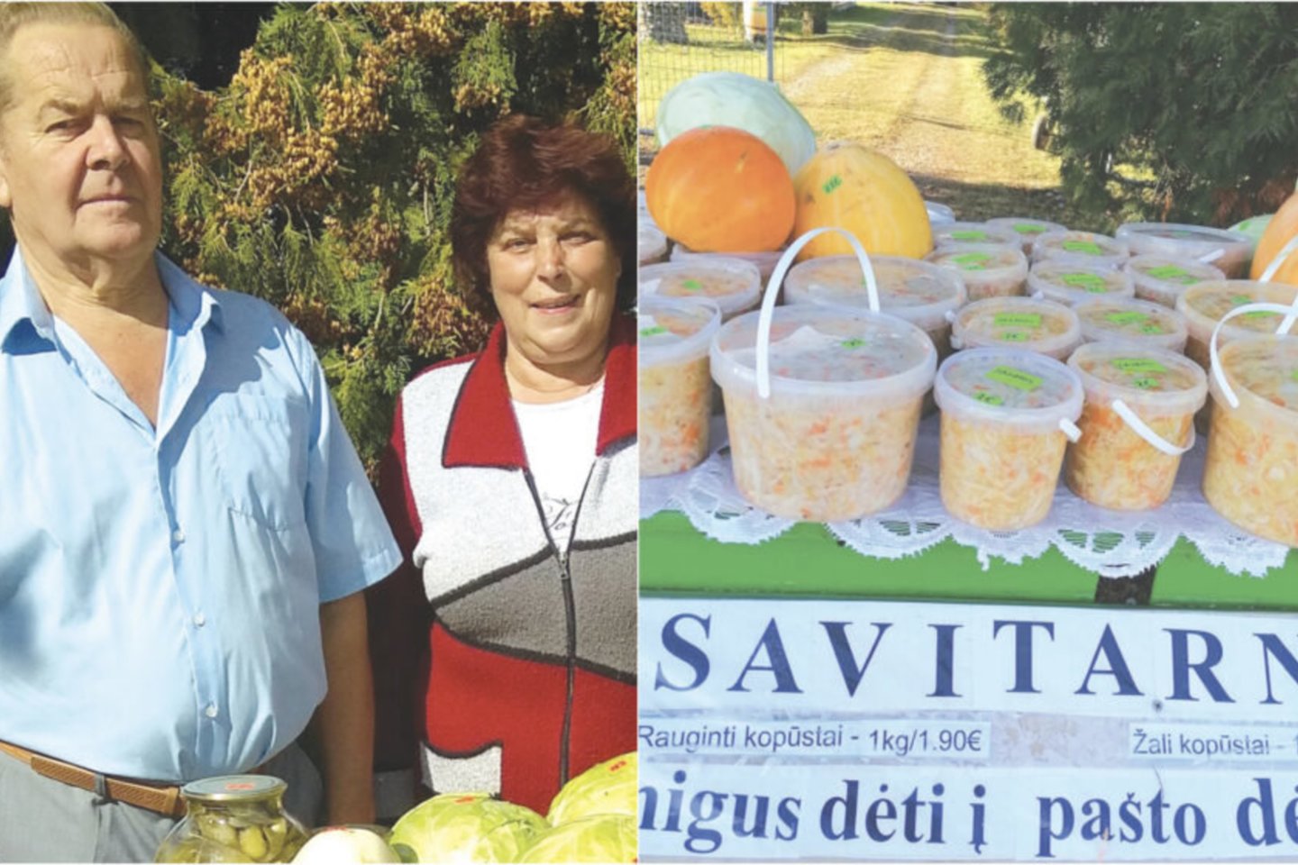 Ypač skanių raugintų kopūstų Kėdainių rajone galima įsigyti pas Krakių seniūnijos Milvydų kaime gyvenančius smulkius ūkininkus Joną ir Angelę Jagminus.<br>Asmeninio archyvo nuotr.