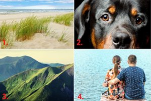 Testas: ko šiuo metu nori jūsų pasąmonė?