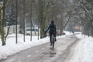 Žiemiški orai nesitrauks: vėl sulauksime sniego, kitą savaitę – 16 laipsnių šalčio