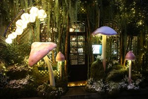 Prieš šventes Vilniuje – atgaiva ir akiai, ir pilvui: pasidairykite