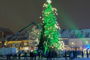 Po padegimo – žaibiška reakcija: pradedami Kauno eglutės atstatymo darbai