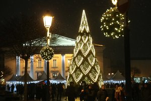 Vilniuje sužibo dar viena gražuolė eglė: Rotušė nušvito šilta gelsva spalva
