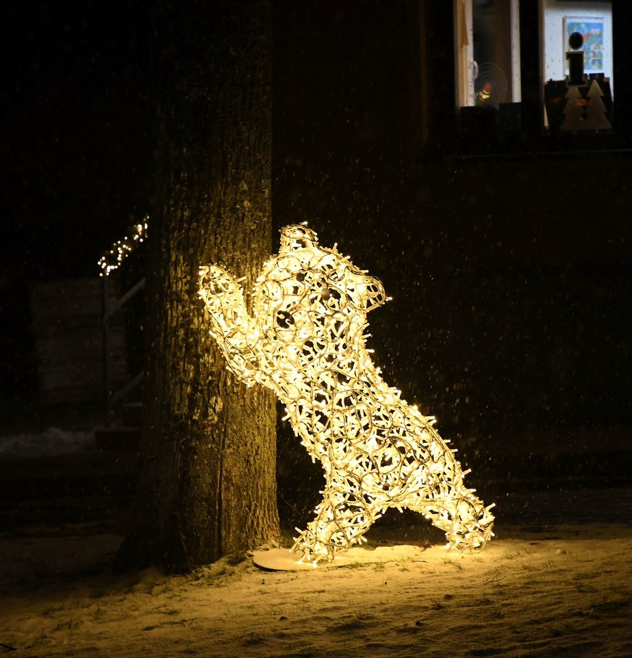 Kalėdų eglių įžiebimo akimirkos Trakuose, kuriuos puošia ir Vytauto meškos, ir meilės simboliai – švytintys amalai.<br>Sigitos Nemeikaitės nuotr.