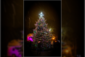 Jurbarko dvaro parke įžiebta Kalėdų eglė – tarsi iš paveikslėlio 