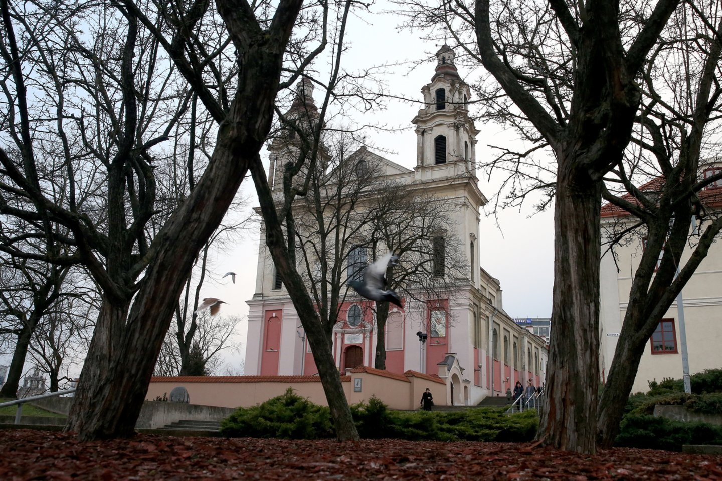 Baigiamas tvarkyti sostinės šv. arkangelo Rapolo bažnyčios stogas.<br>R.Danisevičiaus nuotr.
