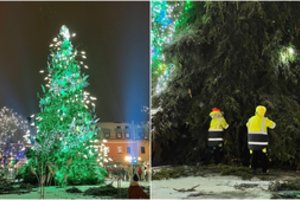 Kalėdų iš kauniečių nepavogė – prieš parą padegta Kauno eglutė vėl žaliuoja
