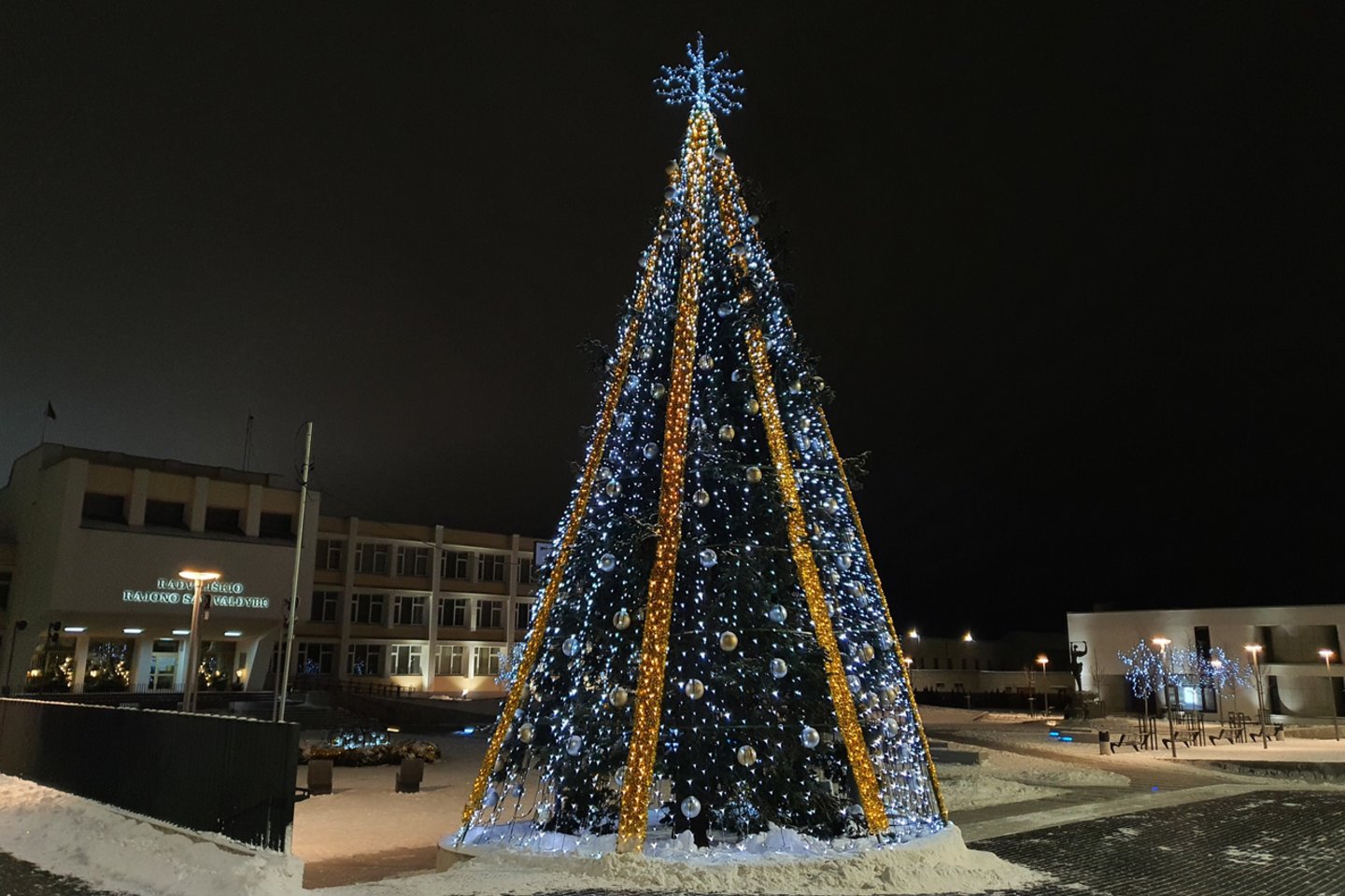 Radviliškiečiai jau gali džiaugtis Kalėdų egle.<br>Radviliškio savivaldybės nuotr.