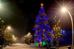 Kalėdų eglė sužibo Joniškyje: nušvito ir visas miestas
