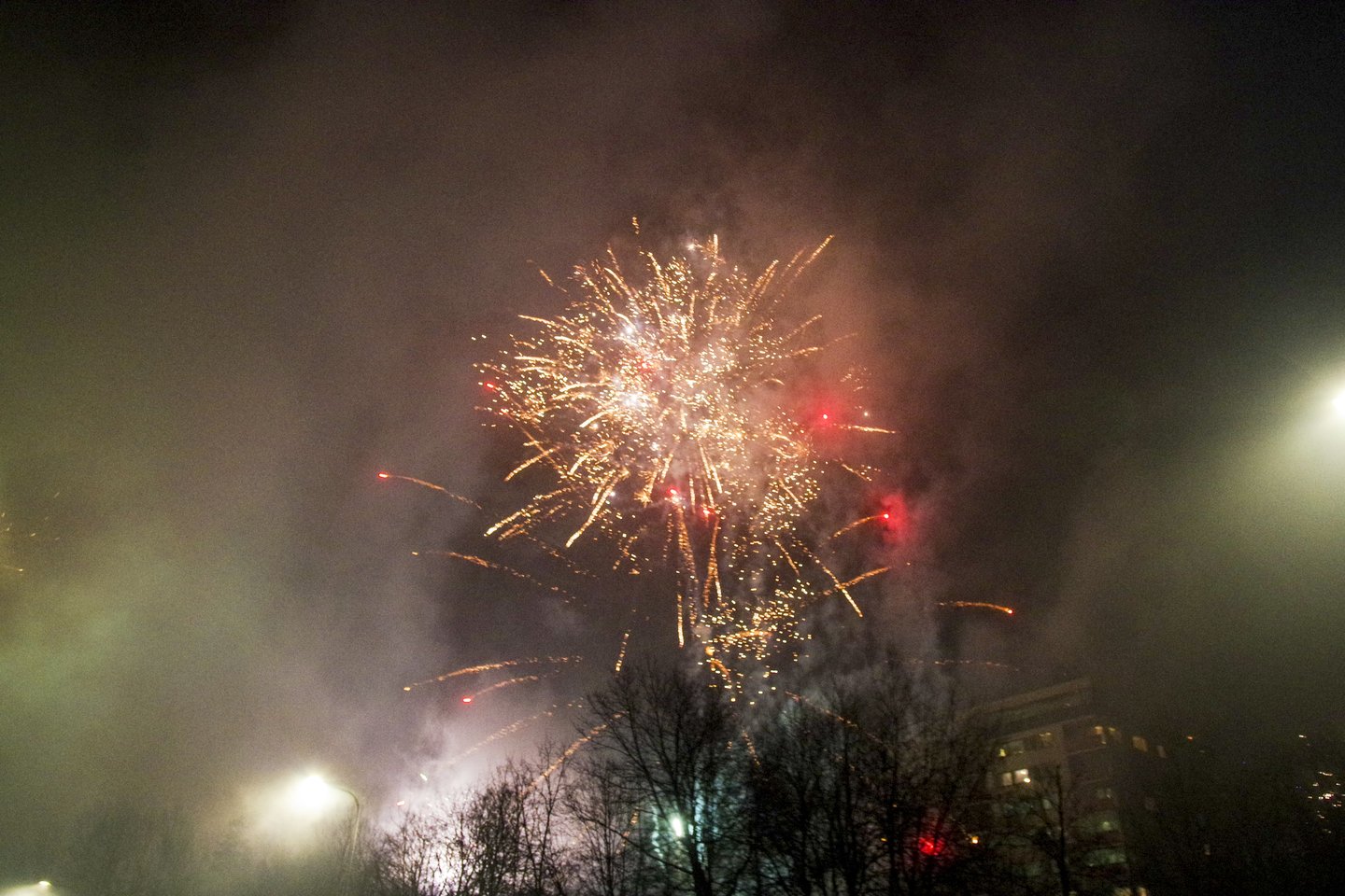 Naujųjų metų naktį kviečia gyventojus ir savivaldybes atsisakyti fejerverkų.<br>V.Ščiavinsko nuotr.