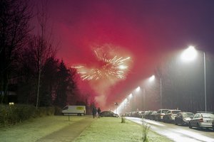 Naujųjų metų naktį kviečia gyventojus ir savivaldybes atsisakyti fejerverkų