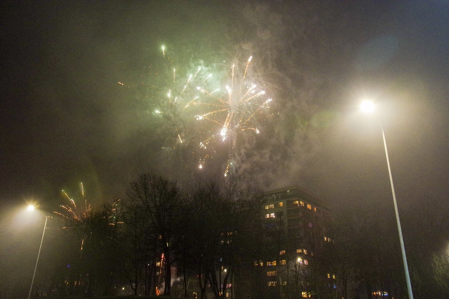 Naujųjų metų naktį kviečia gyventojus ir savivaldybes atsisakyti fejerverkų.<br>V.Ščiavinsko nuotr.