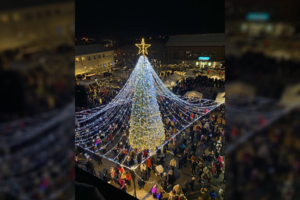 Plungėje – šventinė nuotaika: miestą papuošė įspūdinga Kalėdų eglė su tviskančia skraiste 