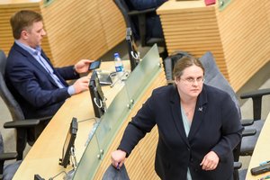 Politologai: A. Širinskienės pasitraukimas iš valstiečių – didelis praradimas partijai