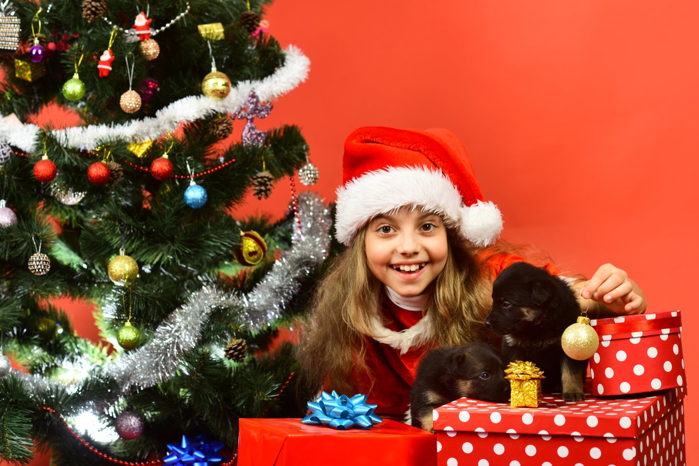  Vaikas Kalėdoms prašo šuniuko? Atsakomybė už augintinį tenka tėvams.<br> 123rf.com nuotr.