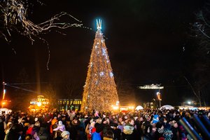 Įžiebta Druskininkų Kalėdų eglė: iš pirmo žvilgsnio paprasta žaliaskarė stebina – nuolat keičiasi