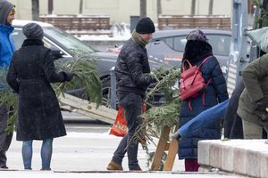 Miškininkai vėl nemokamai dalins eglės šakas: skelbia, kur ir kada galite jas pasiimti