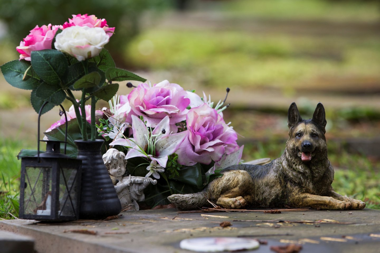 Išskirtinės kapinėse šalyje palaidota daugiau gyvūnų negu žmonių.<br> REUTERS/Scanpix nuotr.