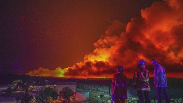 Australijos ugniagesiai toliau kovoja su krūmynų gaisrais: paskelbta nepaprastoji padėtis