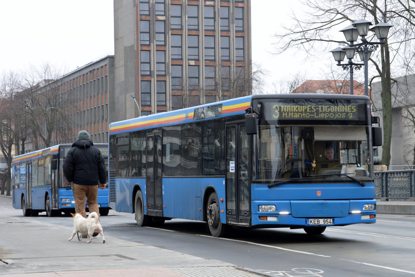 Idėja leisti medikams ir švietimo įstaigų darbuotojams važiuoti Klaipėdos viešuoju transportu nemokamai, panašu, nesulauks pritarimo.<br>www.ve.lt nuotr.