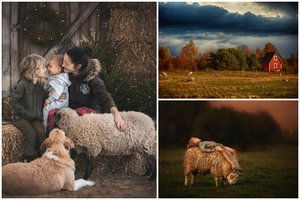 Ąžuolų Būdoje įsikūrusi šeima mieste ateities nematė: „Gyvenimas kaime – viso gyvenimo svajonė“