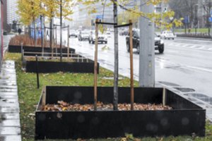 Dėl galimai pažeidžiamo Želdynų įstatymo visuomenininkai imasi veiksmų – įspėjimų Vilniaus miesto savivaldybei jau buvo
