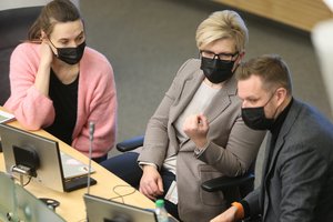 Galėjo padaryt kitaip? Kaip patys Seimo nariai iš vidaus matė pirmuosius I. Šimonytės Vyriausybės metus