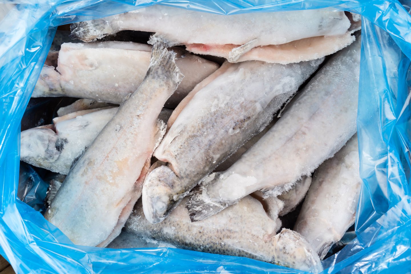 Žuvies kokybę lemia ne tik tinkamas jos šaldymas, bet ir atitirpinimas.<br>123rf nuotr.