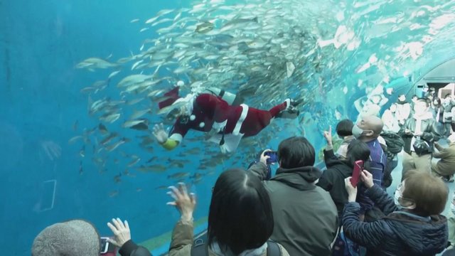 Kalėdų Senelis roges iškeitė į nardymo ląstus: akvariume džiugina pramogų parko lankytojus