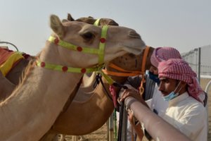 Iš grožio konkurso kupranugariai buvo išmesti dėl botokso naudojimo ir kitos „klastojimo“ formos