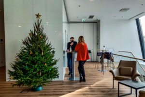 Papasakojo, kodėl geriau pirkti gyvą eglutę, kaip ją išsirinkti ir prižiūrėti: džiugins ir po švenčių