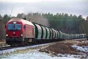 Griebiasi kitų priemonių: siūlo įstatymu uždrausti Baltarusijos prekių tranzitą