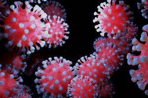 Turi prastų žinių dėl COVID-19: nustatė vieną dėsningumą