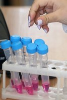 Naujai įsigaliojusi COVID-19 testavimo tvarka: kilo daug neaiškumų, o darbdaviai testų kompensuoti nelinkę