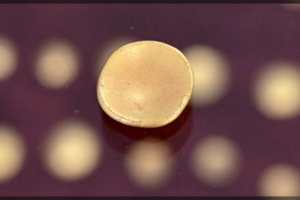 Rytų Vokietijoje pranešta apie sensacingą keltų aukso lobį