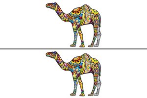 Per kiek sekundžių radote skirtumą? Tai parodo svarbų faktą apie jus