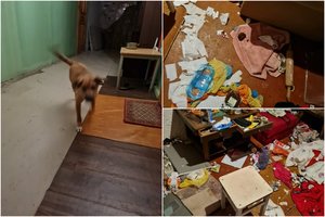 Bute paliko šunį mirti iš bado: pravėrę duris gelbėtojai išvydo siaubingą vaizdą