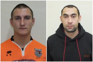 Dingo dar du kaliniai, paskelbta jų paieška