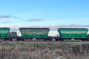 Seimas spręs, ar steigti laikinąją tyrimo dėl „Belaruskalij“ trąšų tranzito komisiją