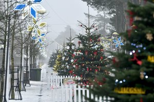 Už naujametinę savaitę Palangoje – 3 kartus brangiau nei Egipte