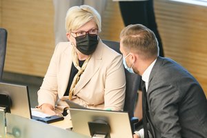 Įvertino naktinį I. Šimonytės sprendimą dėl Vyriausybės likimo: suprantu, kaip nemalonu pranešti, kad vertybėmis grįsta politika mirė