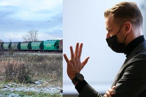 G. Landsbergis: kaimyninių šalių įmonės turi intencijų perimti baltarusiškų trąšų tranzitą