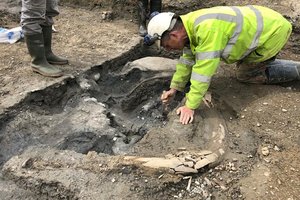 Miesto karjere aptiko penkių mamutų kaulus – ir dar šį tą įdomiau