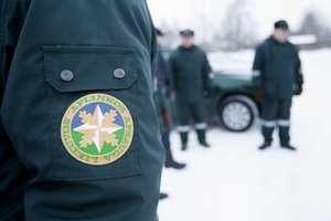 Per savaitę aplinkosaugininkai sulaukė virš 400 pranešimų: daugiau nei pusė iš jų – dėl laukinių gyvūnų