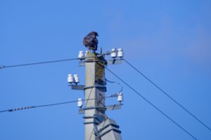 Energetikos krizė Europoje stiprėja, artėjant šaltų orų bangai